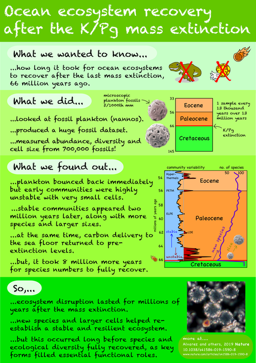 ocean ecosystem recovery after mass extinction